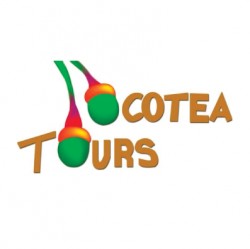 Ocotea Tours and Transfer 