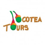 Ocotea Tours and Transfer 