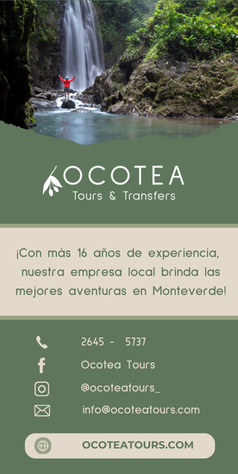 Ocotea